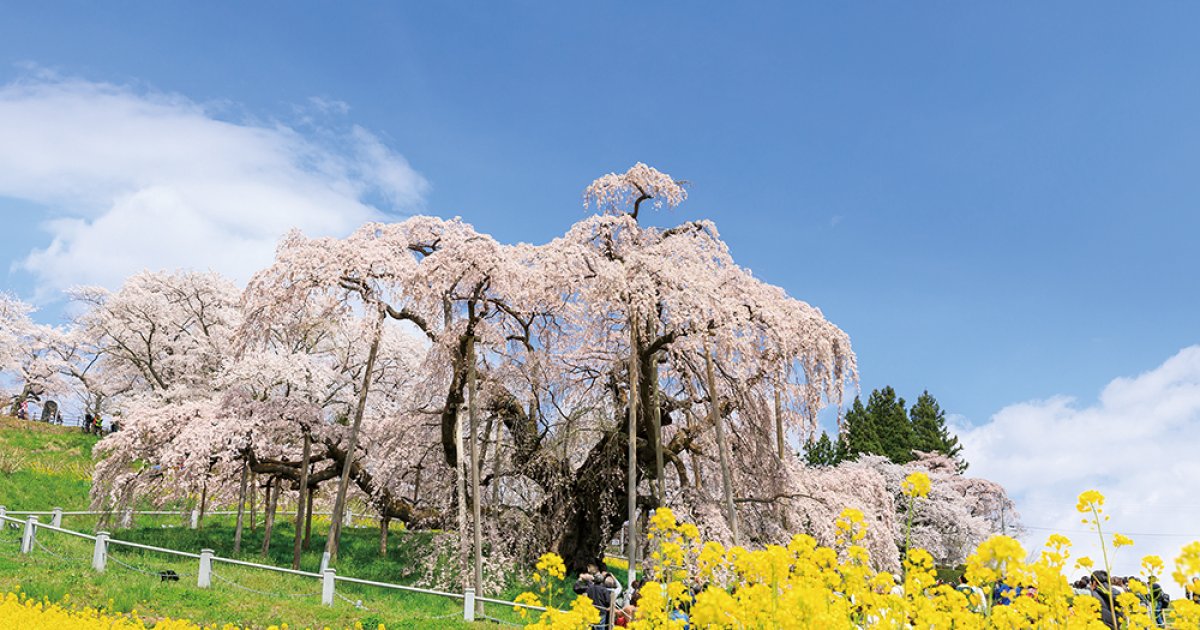 rKQ8wRJJqQAqnOP6nNBmqwIs0HGx1m